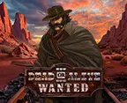 Dead or Alive 3: Wanted